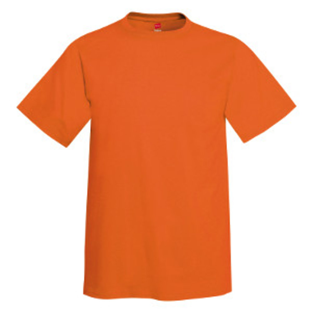 HANES AUTHENTIC-T | American-T-Shirt-Company