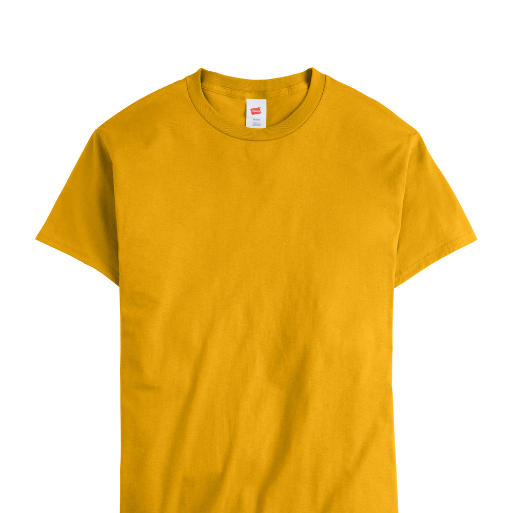 HANES ESSENTIAL-T | American-T-Shirt-Company