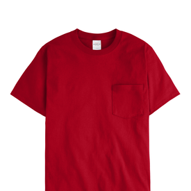 HANES AUTHENTIC POC T